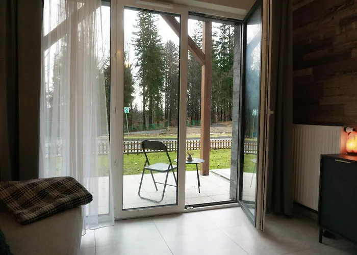 Widok Na Las, Pod Reglami Studio